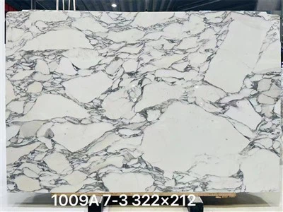 Calacatta flísar 12x24