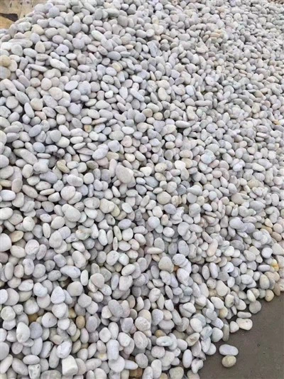 White Pebble úti